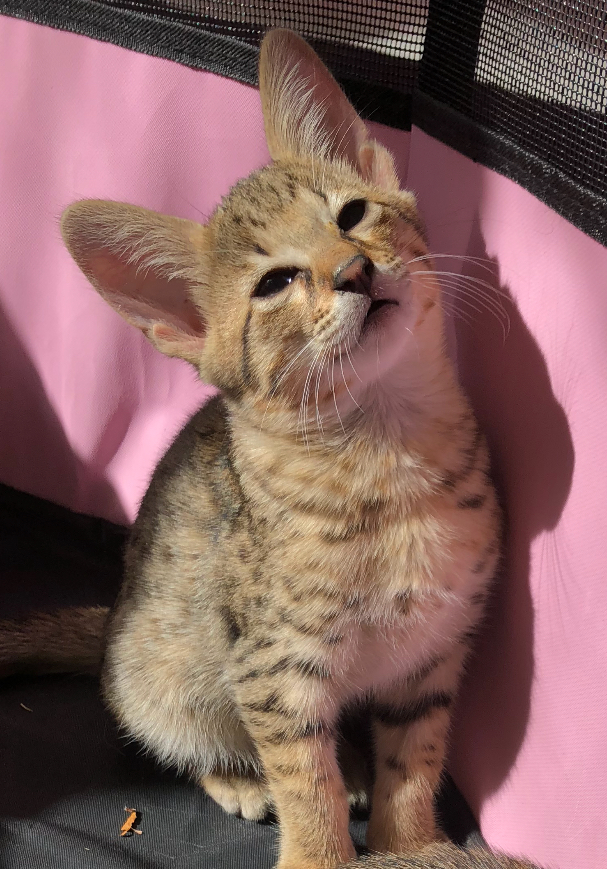 134B0FAA 5E9F 4CC1 AF39 883663FD2D43