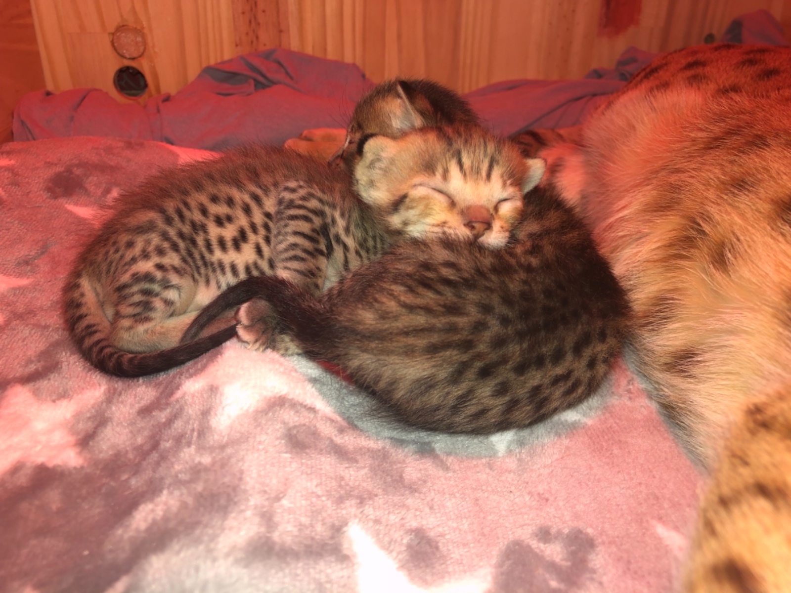 4CFC3A07 73F9 4A48 9011 0EC534AB47B0