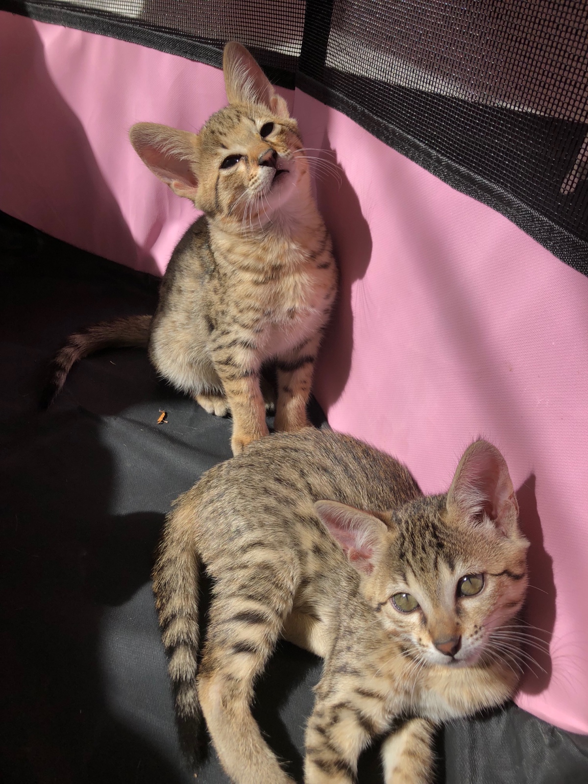 726B13E8 71DA 4004 BBB5 95AA8CBBB4F8